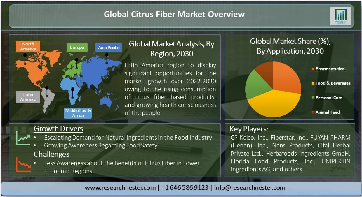 Citrus Fiber Market Overview